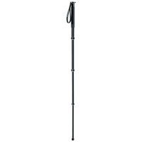 Gitzo Series 2 Aluminum Monopod with 4 Sections, Supports 19.84 lbs., Extends to 61.4"