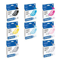 Epson 8 Color Ink Set with Photo Black for the Stylus R2400 Inkjet Printer.