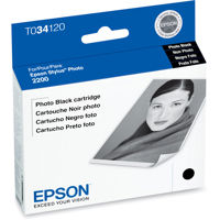 Epson Black Ink Cartridge for the Stylus Photo 2200 Inkjet Printer.