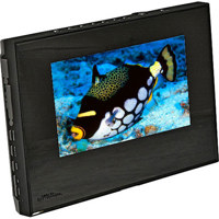 Media Street eMotion MultiMedia Digital Picture Frame &amp; DVD Player with 7" LCD Screen. image