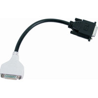 InFocus SP-DVI-ADPT-R 6" Male to DVI-D Female Adapter