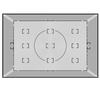 Nikon Replacement Focusing Screen V III for the D2x & D2H Digital SLR Cameras.
