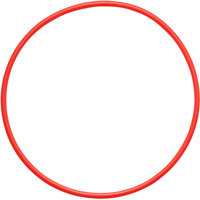 Olympus POL-U1 O-Ring for the UFL-1 Underwater Flash