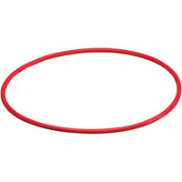 Olympus O-Ring for the Lens Port Replacement - PPO-04