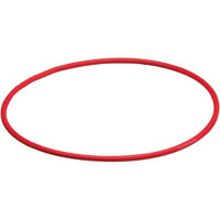 Olympus Replacement O-Ring (A) (Front) for PT Underwater Protective Case PPO-05 for WCON-0.8D Wide Conversion Lens