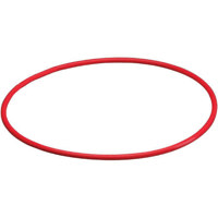 Olympus POL-024 Replacement O-Ring for the PT-024 Underwater Housing
