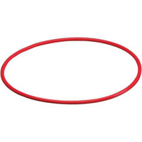 Olympus POL-031 Replacement O-Ring for the PT-031 Underwater Housing
