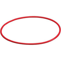 Olympus POL-033 Replacement O-Ring for PT-033