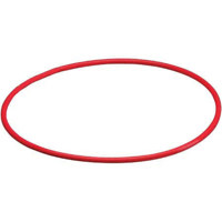 Olympus POL-037A Replacement O-Ring for the Front Lid of the PT-037 Underwater Housing