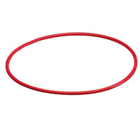 Olympus POL-E01A Replacement Silicone O-Ring "A" for front of the PT-E01 Housing (Note: Both A & B are needed).