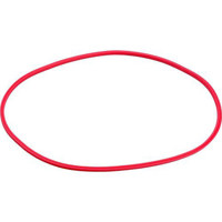 Olympus POL-E05B Replacement Silicone O-Ring "B" for the PT-E05 Housing (Note: Both A & B are needed).