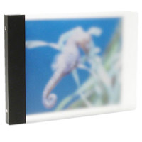 Pina Zangaro Frost, Frosted Acrylic 3 Ring Binder in Landscape Format 8.5x11" x 1/2"