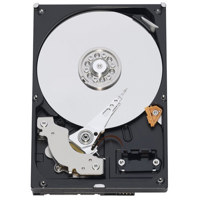 Western Digital Caviar Blue 250GB 3.5" Internal Hard Drive, 16MB Cache, SATA 6GB/s Interface, 7200 RPM Speed, Single Pack