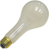 Westcott Photo Basics 500 watt Photoflood Lamp, 13,650 Lumens, Lasts 60 Hours. image