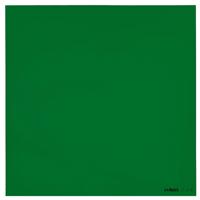 Cokin Z-Pro Series Green Filter, 4"x 4" / 100mm x 100mm