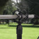 Rode SM-4 Suspension Shock Mount: Picture 3 thumbnail