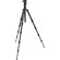 Benro A1690TBH0 Travel Angel Tripod, BH0 Ballhead, Case: Picture 1 thumbnail