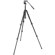 Manfrotto 190XB: Picture 1 thumbnail