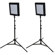Bescor LED-200K: Picture 1 thumbnail