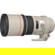 Canon 300mm F/4L: Picture 2 thumbnail