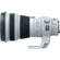 Canon 400mm f/4: Picture 2 thumbnail
