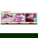 Celestron LCD Digital Microscope II: Picture 2 thumbnail