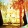 Holga Colorflash Medium Format Starter Kit New Version: Picture 3 thumbnail