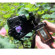 ioShutter Shutter Release Cable with Nikon DSLR Connector: Picture 2 thumbnail