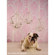 Denny Manufacturing 8'x8' Annie Freedom Cloth Backdrop: Picture 9 thumbnail