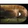 Boda DVD: Jim Garner Educational CD Bundle (set of 3): Picture 2 thumbnail