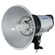 Flashpoint II 1220A220 Monolight 600 Watt Second Strobe: Picture 2 thumbnail