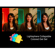Gary Fong 4-Piece Color Set, Lightsphere Collapsible: Picture 3 thumbnail