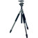 Giottos MT-9250: Picture 1 thumbnail