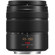 Panasonic 45-150mm: Picture 4 thumbnail
