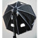 JTL HL-750 Halogen Light Kit: Picture 2 thumbnail