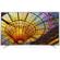 LG Electronics 49UH6500: Picture 1 thumbnail