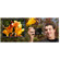 Phocus Two Lens Bundle with Accent Case for iPhone 5: Picture 5 thumbnail
