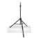 Ultimate Support TS-99BL TeleLock Lift-assist Speaker Stand with Leveling Leg: Picture 1 thumbnail