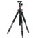Vanguard Alta Pro 254 Carbon Tripod with SBH-50 Ball Head: Picture 1 thumbnail