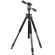 Vanguard Alta Pro 253CP 3-Section Carbon Fiber Tripod with PH-22 Pan Head: Picture 1 thumbnail
