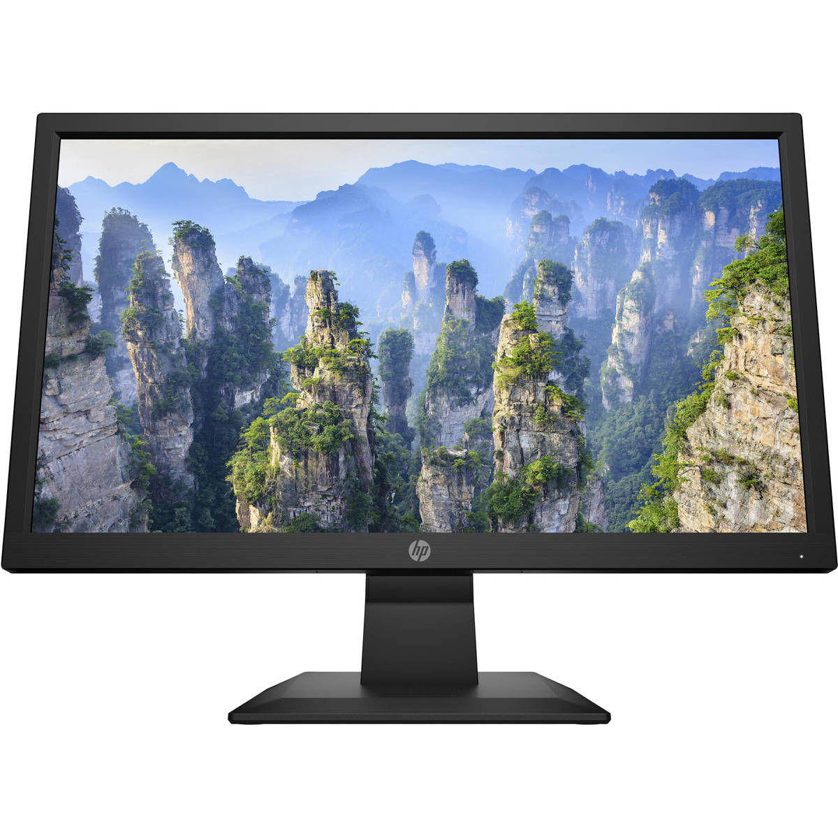 HP V20 19.5" 16:9 HD+ TN LCD Monitor