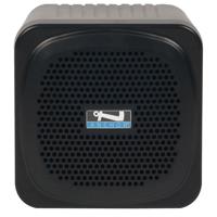 

Anchor Audio AN-MINIU2 30W Personal Portable PA System with Built-In Dual Wireless Mic Receiver, Black