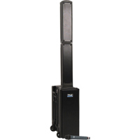 

Anchor Audio Beacon Line Array Speaker Basic Package, Includes WH-8000 UHF Wireless Handheld Microphone