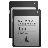 

Angelbird AV PRO CFexpress Type B 1TB Memory Card, 2-Pack