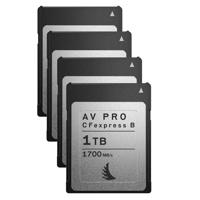 

Angelbird AV PRO CFexpress Type B 1TB Memory Card, 4-Pack