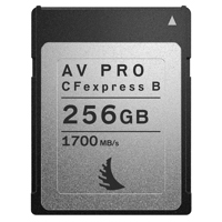

Angelbird AV PRO CFexpress Type B 256GB Memory Card