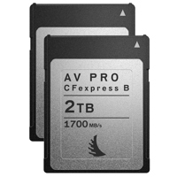 

Angelbird AV PRO CFexpress Type B 2TB Memory Card, 2-Pack