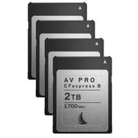 

Angelbird AV PRO CFexpress Type B 2TB Memory Card, 4-Pack