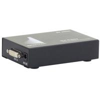 

Apantac DVI to VGA Converter