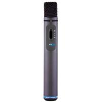

Apex Apex591 Multi-Purpose Cardioid Condenser Studio Microphone with Pad and Roll-Off Switch